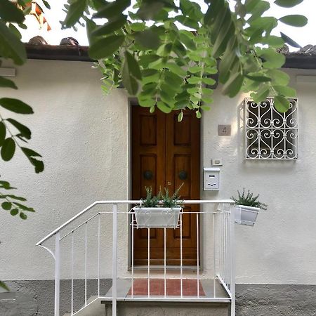 Rustico Rosmarino Villa Castiglion Fiorentino Bagian luar foto